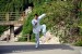 Learn Kung Fu online