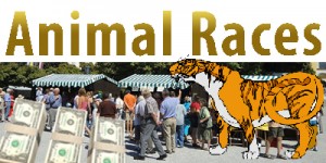 Animal Races