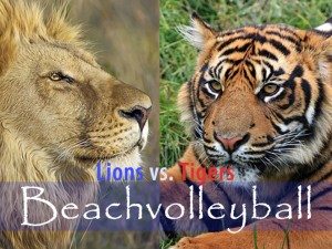 lions versus tigers minigames